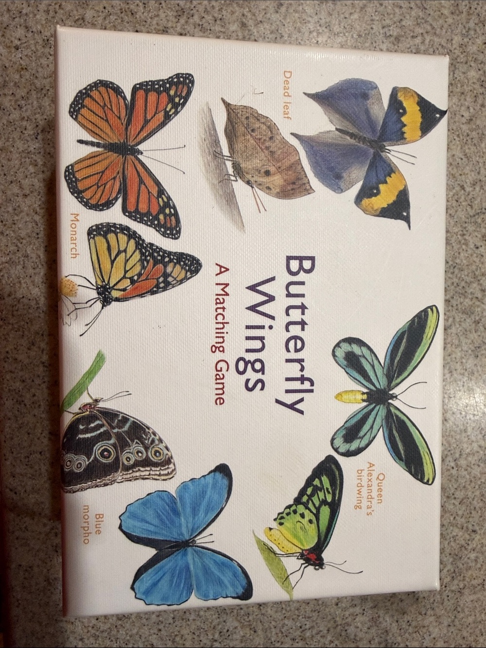 Butterfly Wings Matching Game - Multicolor